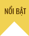 Nổi bật